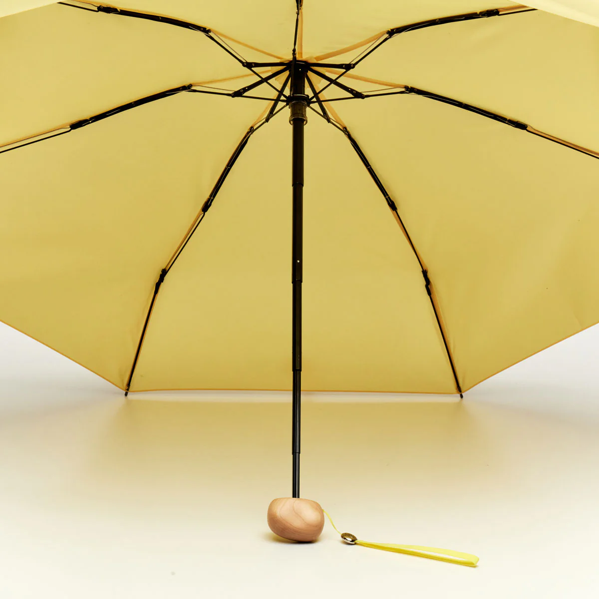 Citron Ultra Compact Mini Umbrella - Image 5