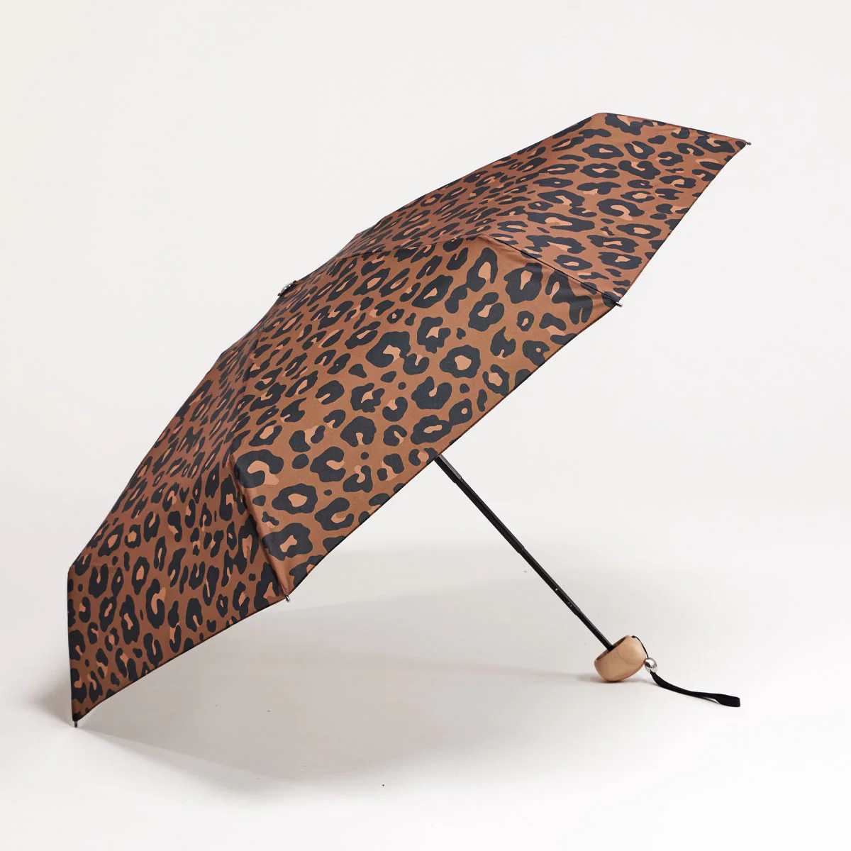 Leopard Mini Bundle - Image 5